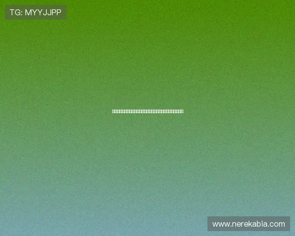 百家乐手机版：畅享世界杯期间最全面的体育娱乐与博彩体验指南
